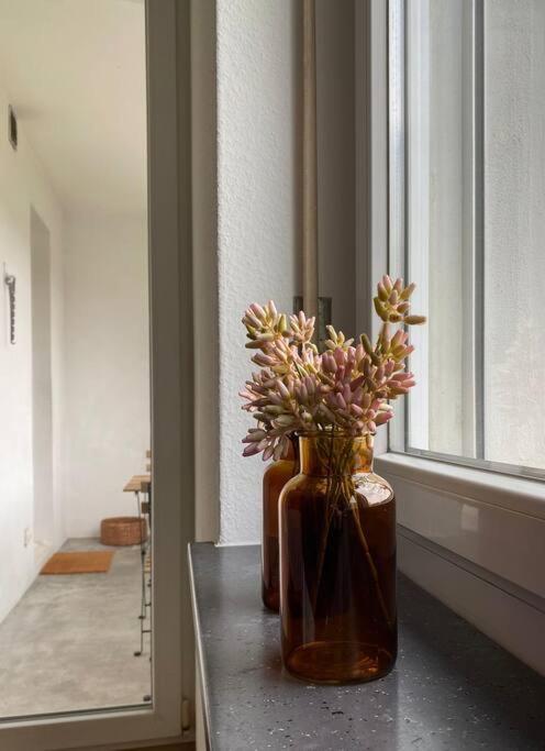 Gemuetliche Wohnung Naehe Uni Basilej Exteriér fotografie