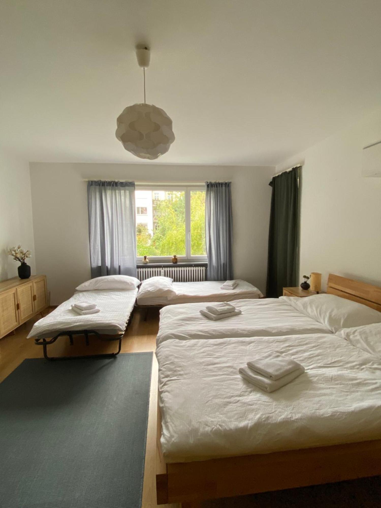 Gemuetliche Wohnung Naehe Uni Basilej Exteriér fotografie